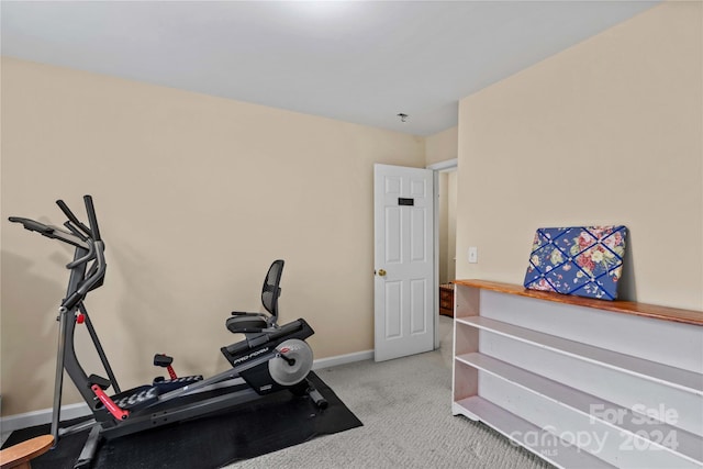 workout area featuring light carpet