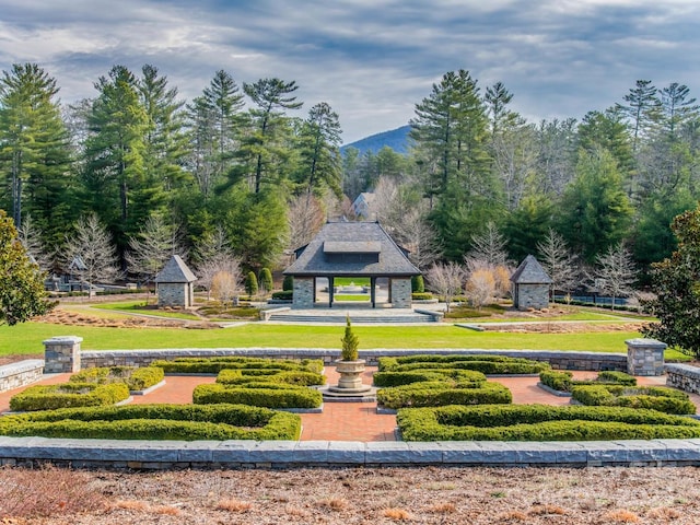 view of property's community featuring a yard and a mountain view