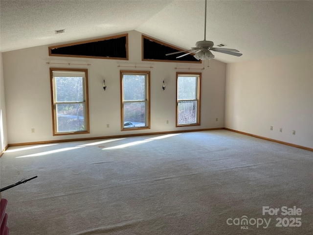 empty room featuring vaulted ceiling, plenty of natural light, light carpet, and a textured ceiling