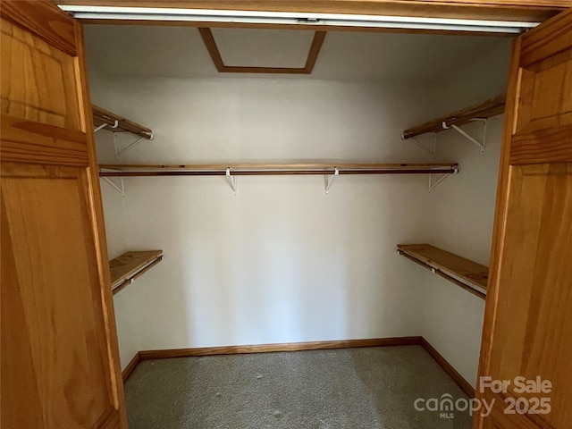 spacious closet with carpet floors