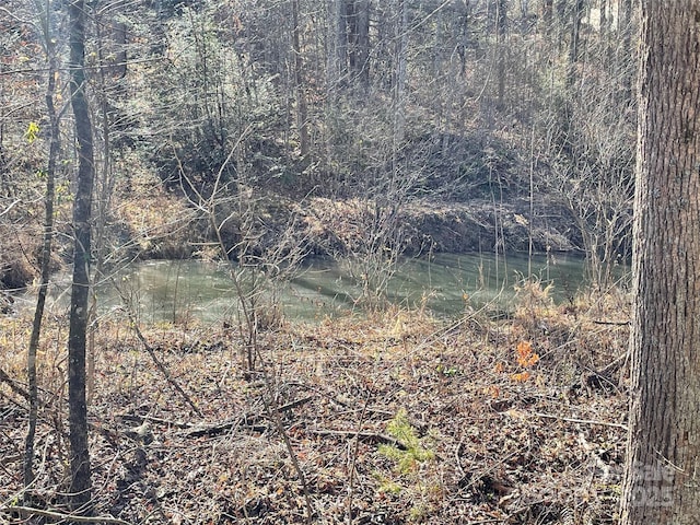 view of nature featuring a water view