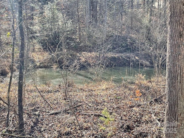 635 Worley Rd, Marion, NC 28752 - photo 38