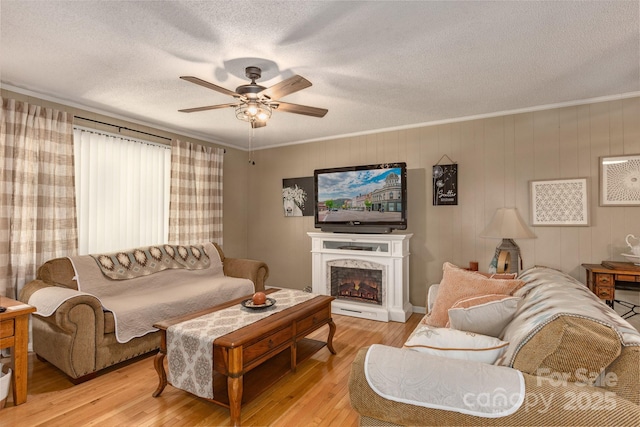 635 Worley Rd, Marion, NC 28752 - photo 8