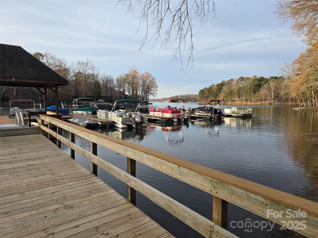 dock area with a water view