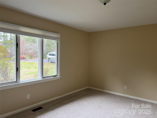 spare room featuring carpet and a wealth of natural light