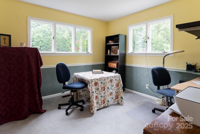 carpeted office space with a healthy amount of sunlight