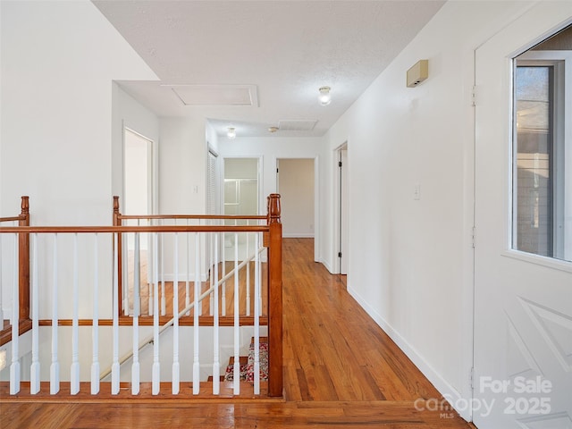 hallway with a textured ceiling and hardwood / wood-style flooring