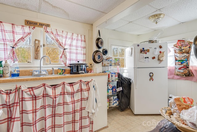 kitchen with a drop ceiling, white fridge, and sink