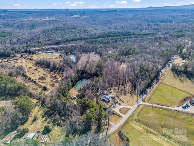 birds eye view of property featuring a mountain view