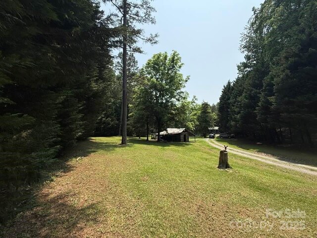 620 Smith Waldrop Rd, Columbus, NC 28722 - photo 41