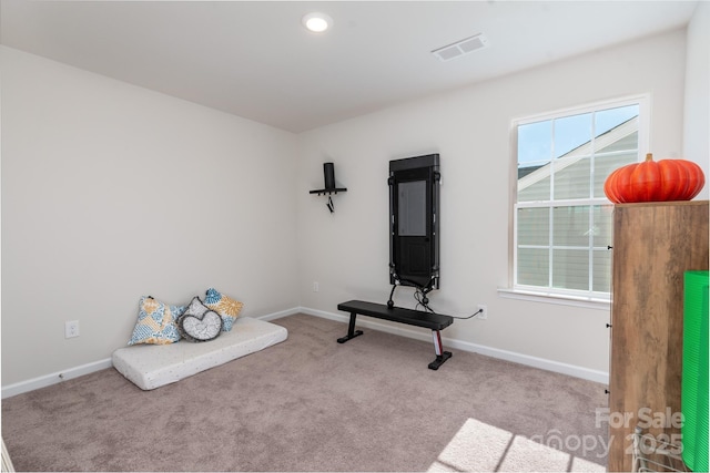 exercise room featuring light colored carpet