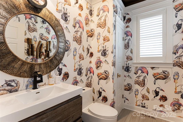 bathroom featuring hardwood / wood-style flooring, vanity, and toilet