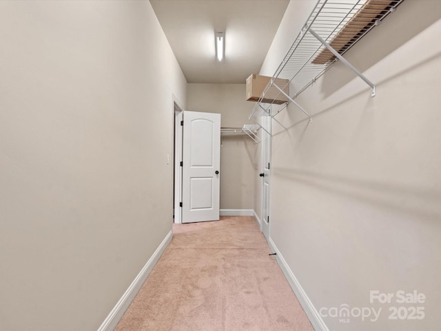 spacious closet with light colored carpet