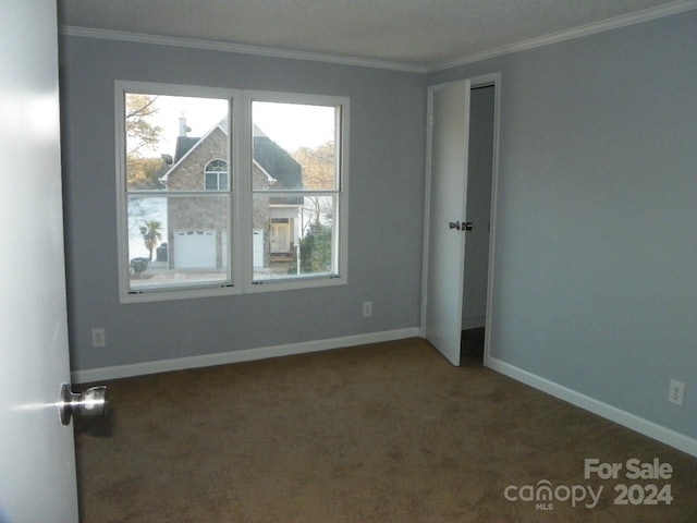 spare room with carpet floors and ornamental molding