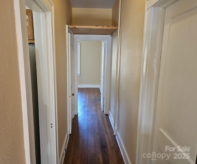 hallway featuring dark hardwood / wood-style flooring