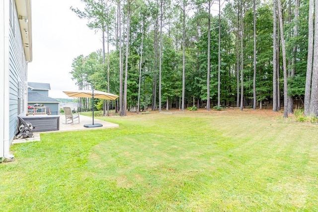 view of yard with a patio area