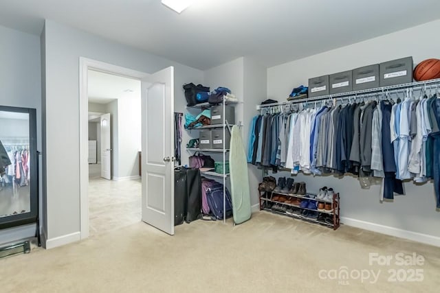 walk in closet featuring carpet flooring