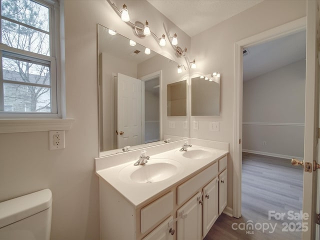 bathroom with wood-type flooring, vanity, and toilet