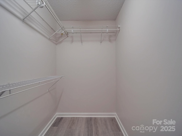 walk in closet with hardwood / wood-style flooring