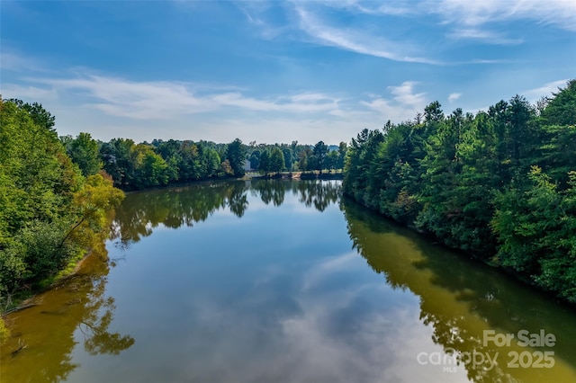 property view of water