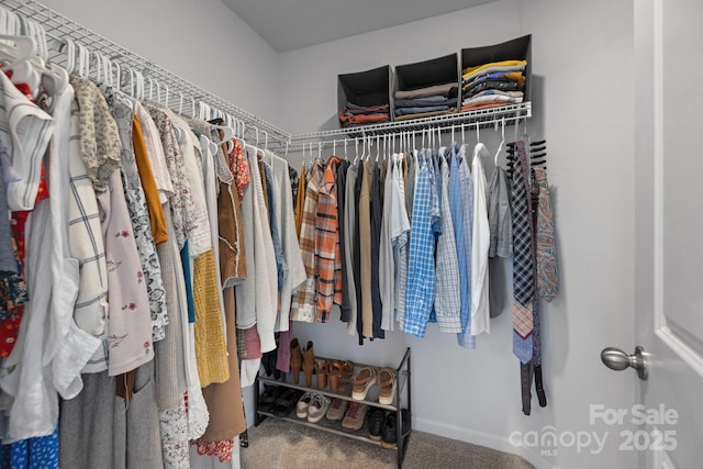 spacious closet featuring carpet floors