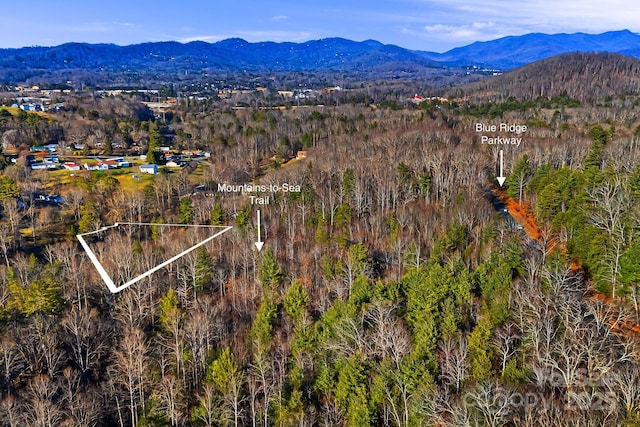 Listing photo 3 for 99999 Willow Creek Dr, Asheville NC 28803