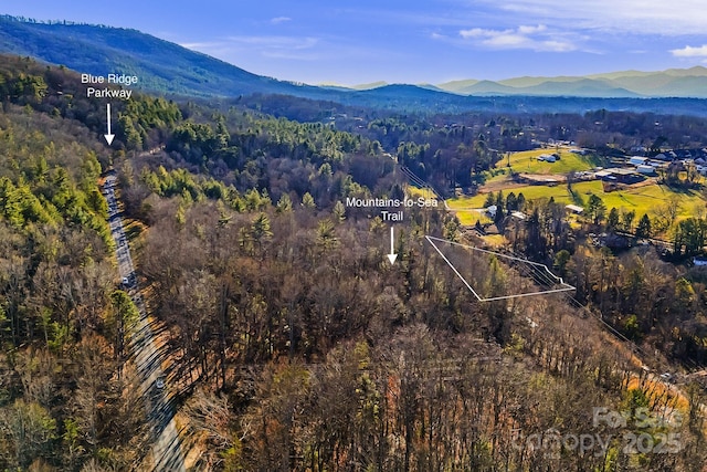 99999 Willow Creek Dr, Asheville NC, 28803 land for sale