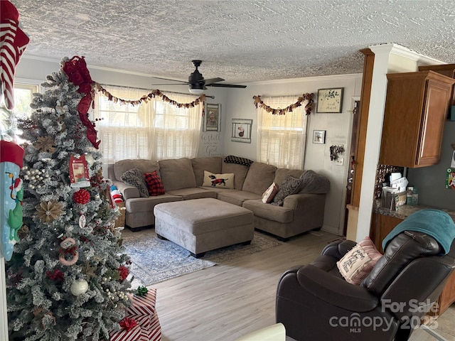 living room featuring ceiling fan, light hardwood / wood-style flooring, a healthy amount of sunlight, and ornamental molding