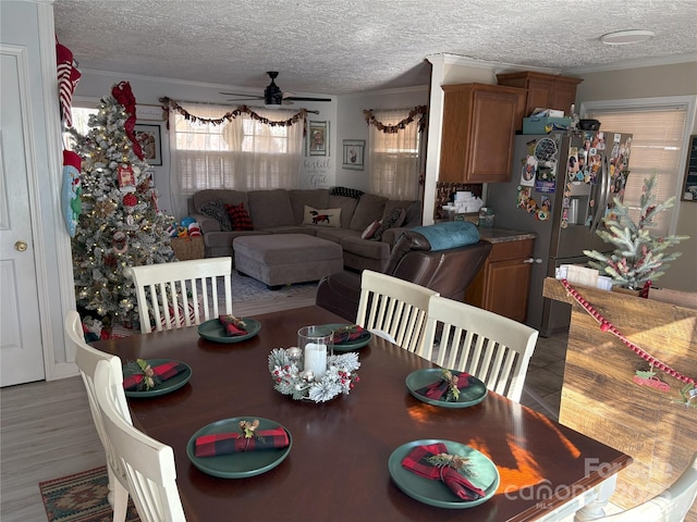 dining space featuring a textured ceiling, ceiling fan, and crown molding