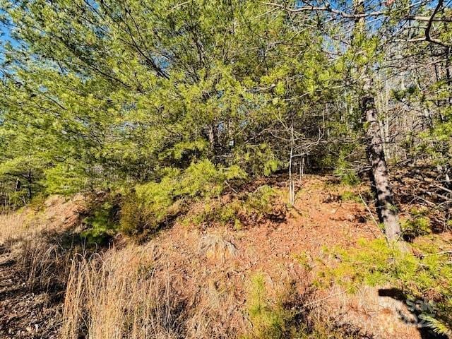 Listing photo 3 for 0 Cross Creek Dr, Rutherfordton NC 28139