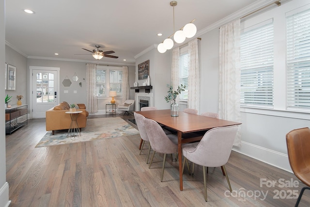 dining room with ceiling fan, crown molding, and light hardwood / wood-style floors