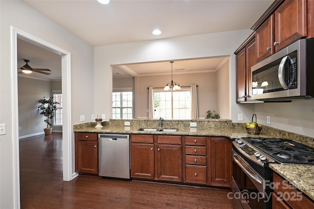 kitchen with light stone countertops, sink, stainless steel appliances, dark hardwood / wood-style flooring, and ceiling fan with notable chandelier