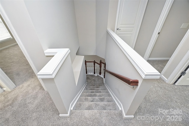 stairway featuring carpet