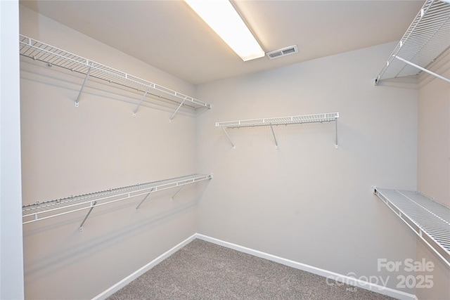 spacious closet with carpet flooring