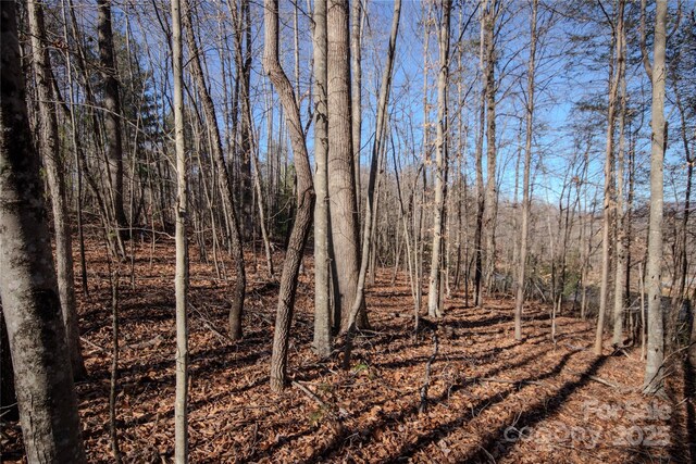 LOT80 Huntington Woods St SE Unit 80, Lenoir, NC 28645