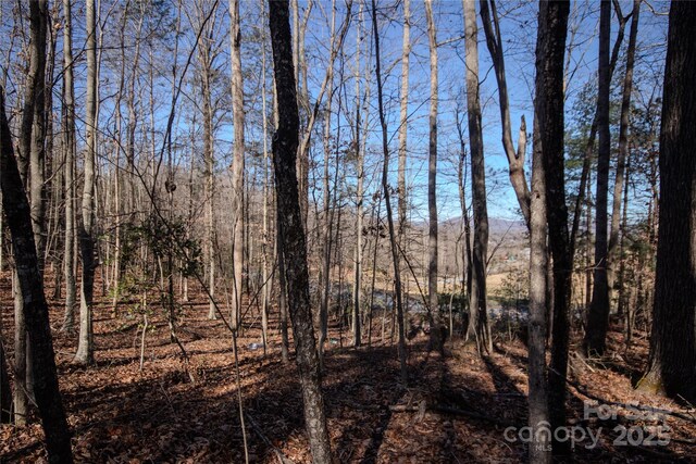 LOT80 Huntington Woods St SE Unit 80, Lenoir, NC 28645
