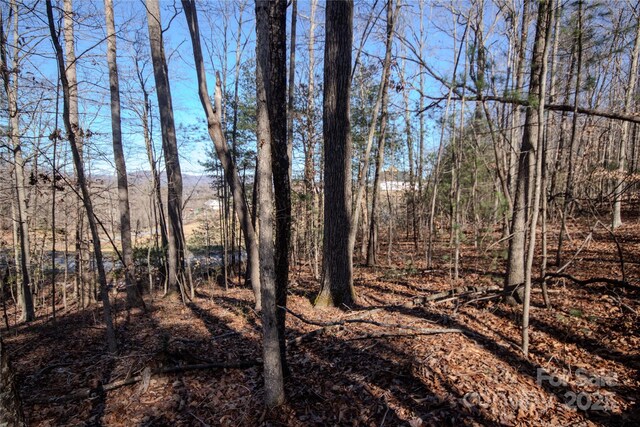 LOT80 Huntington Woods St SE Unit 80, Lenoir, NC 28645