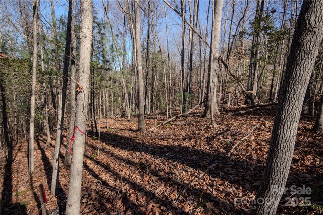 LOT80 Huntington Woods St SE Unit 80, Lenoir, NC 28645