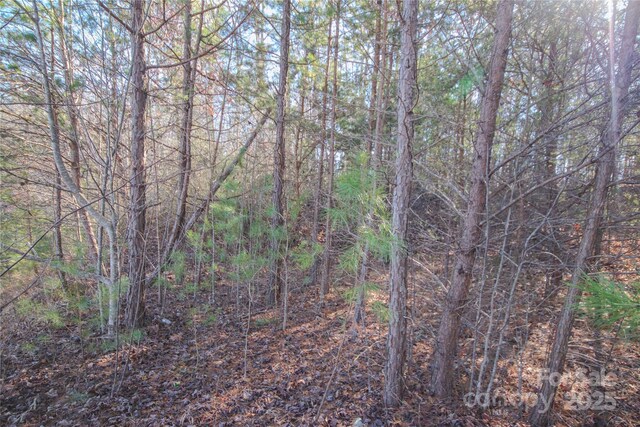 LOT82 Huntington Woods St SE Unit 82, Lenoir, NC 28645 - photo 4