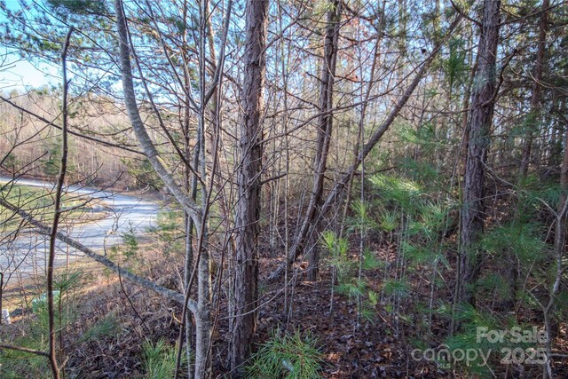 LOT82 Huntington Woods St SE Unit 82, Lenoir, NC 28645 - photo 5