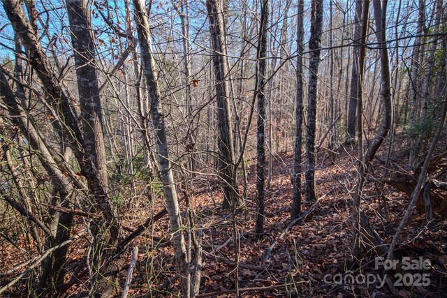LOT82 Huntington Woods St SE Unit 82, Lenoir, NC 28645 - photo 6