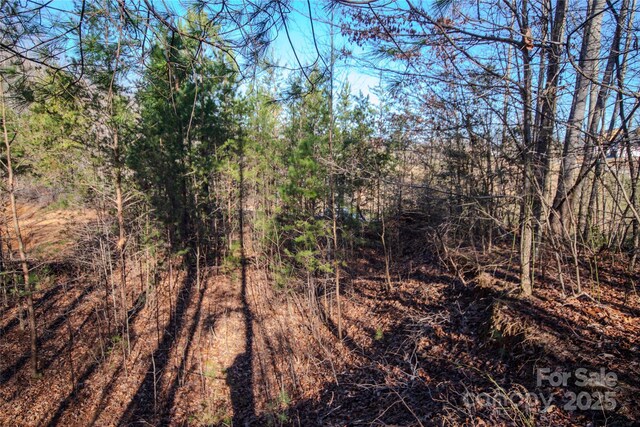 LOT82 Huntington Woods St SE Unit 82, Lenoir, NC 28645 - photo 8
