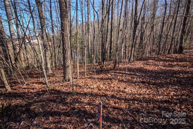 LOT82 Huntington Woods St SE Unit 82, Lenoir, NC 28645 - photo 9