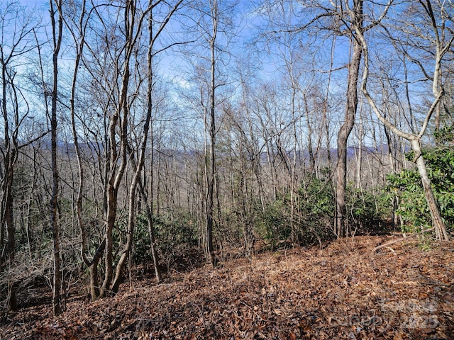 LOT7 Queens Way, Spruce Pine NC, 28777 land for sale