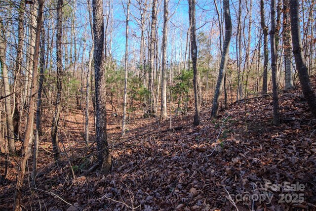 403 Huntington Woods St SE Unit 29, Lenoir, NC 28645