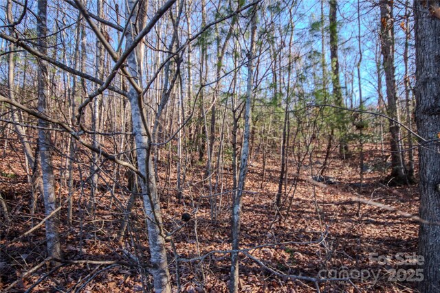 403 Huntington Woods St SE Unit 29, Lenoir, NC 28645