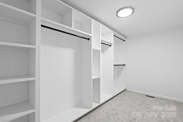 spacious closet with light colored carpet