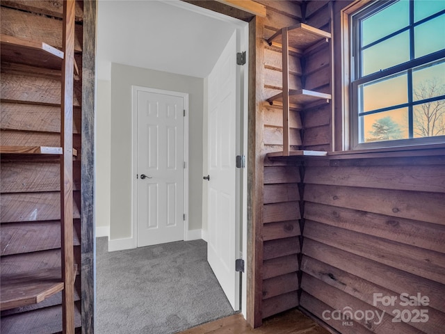 interior space featuring carpet flooring