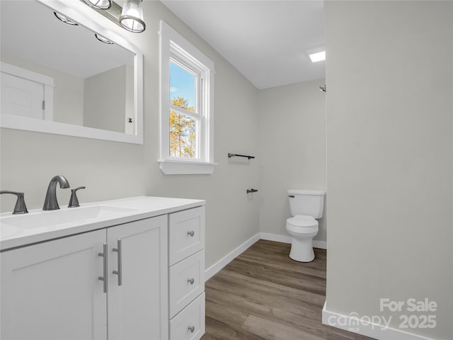 bathroom featuring vanity, wood-type flooring, and toilet