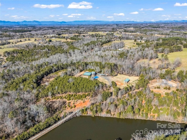 256 Honey Wagon Dr, Rutherfordton, NC 28139 - photo 44